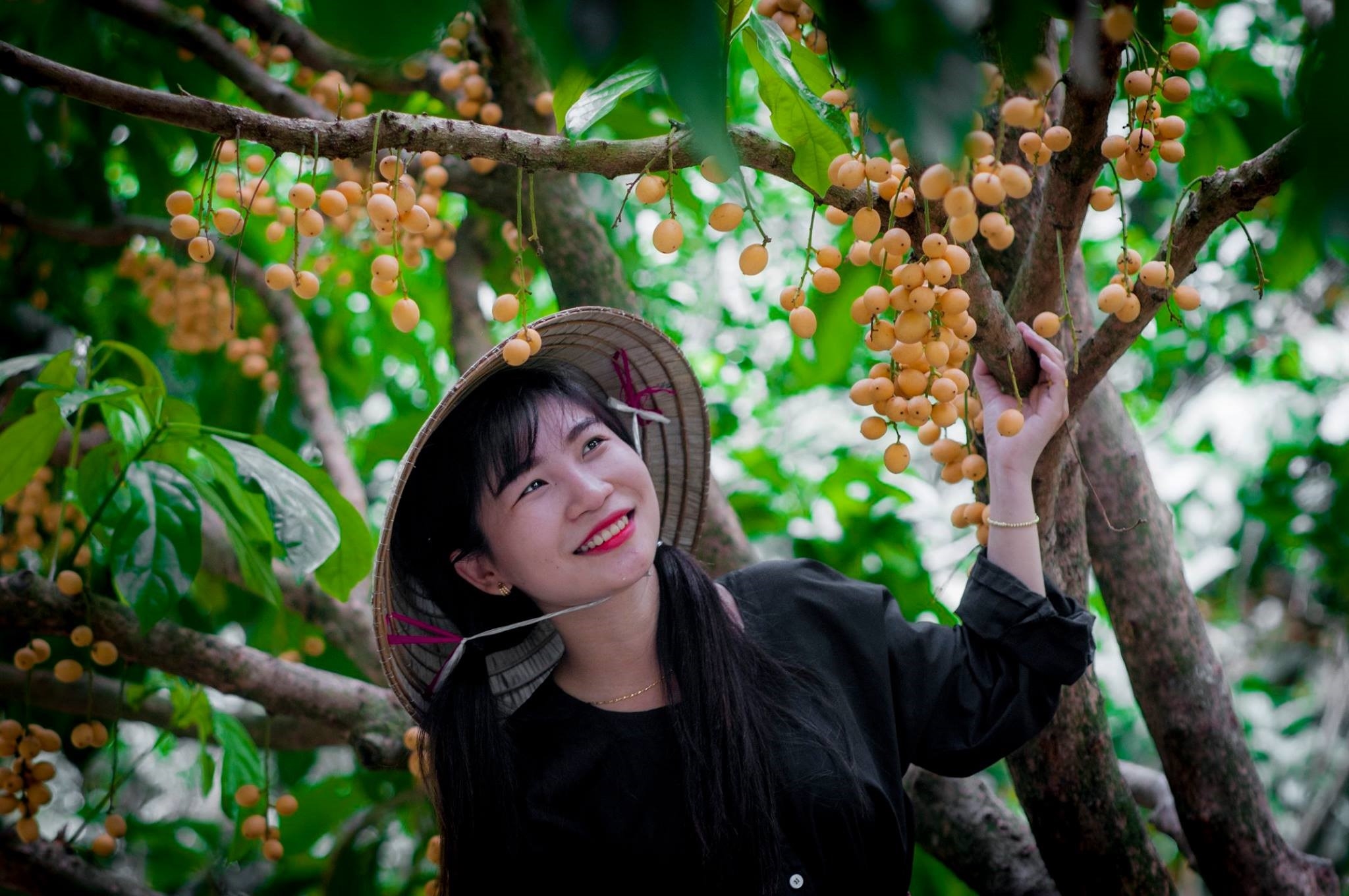 Miệt vườn Cần Thơ - Vườn trái cây Phong Điền của Du lịch Phong Điền