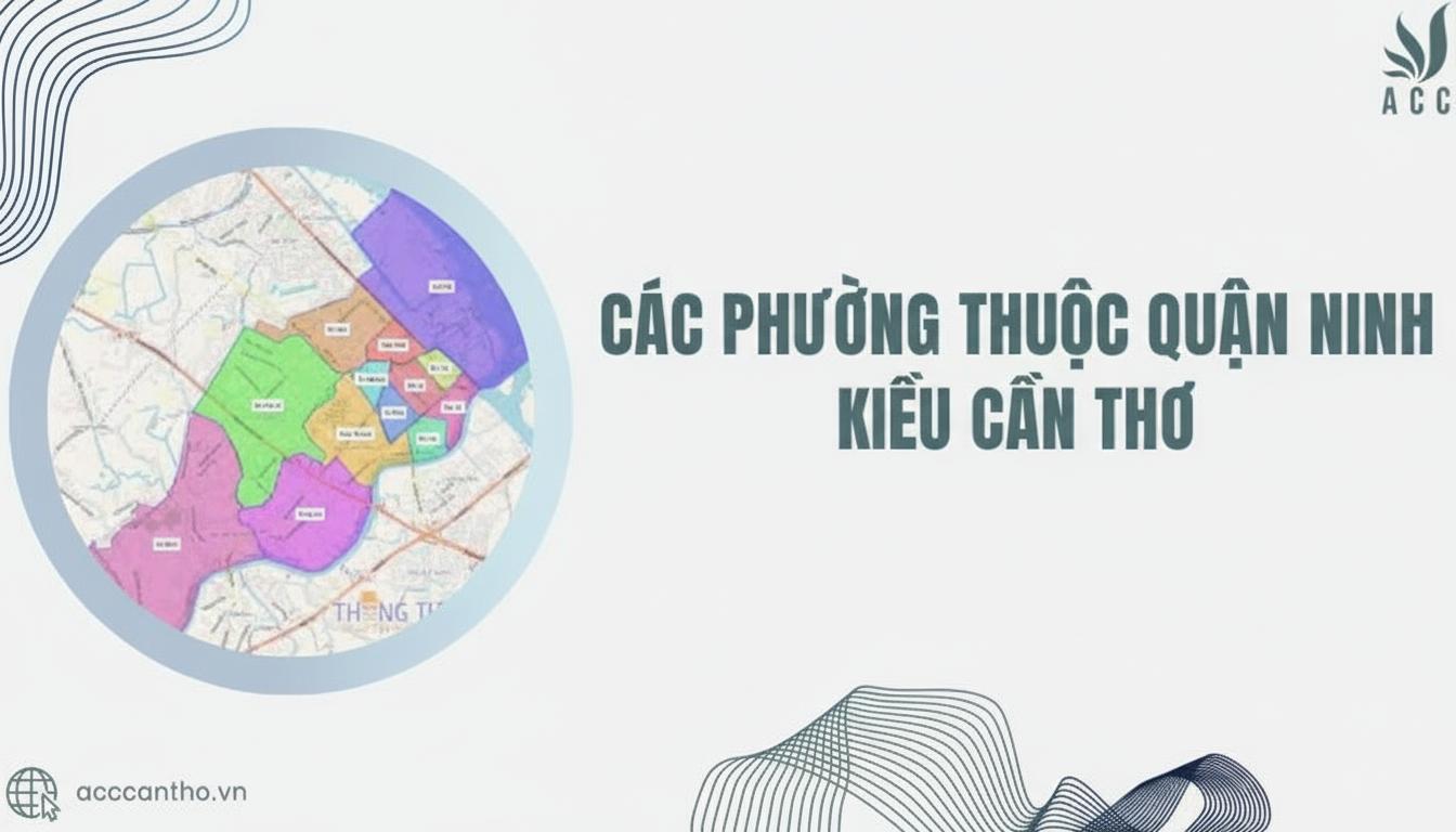 Thông tin chi tiết về việc sáp nhập và thành lập phường Ninh Kiều mới